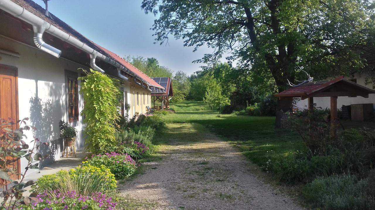 Rigófütty Vendégház Tiszaalpar Exterior foto